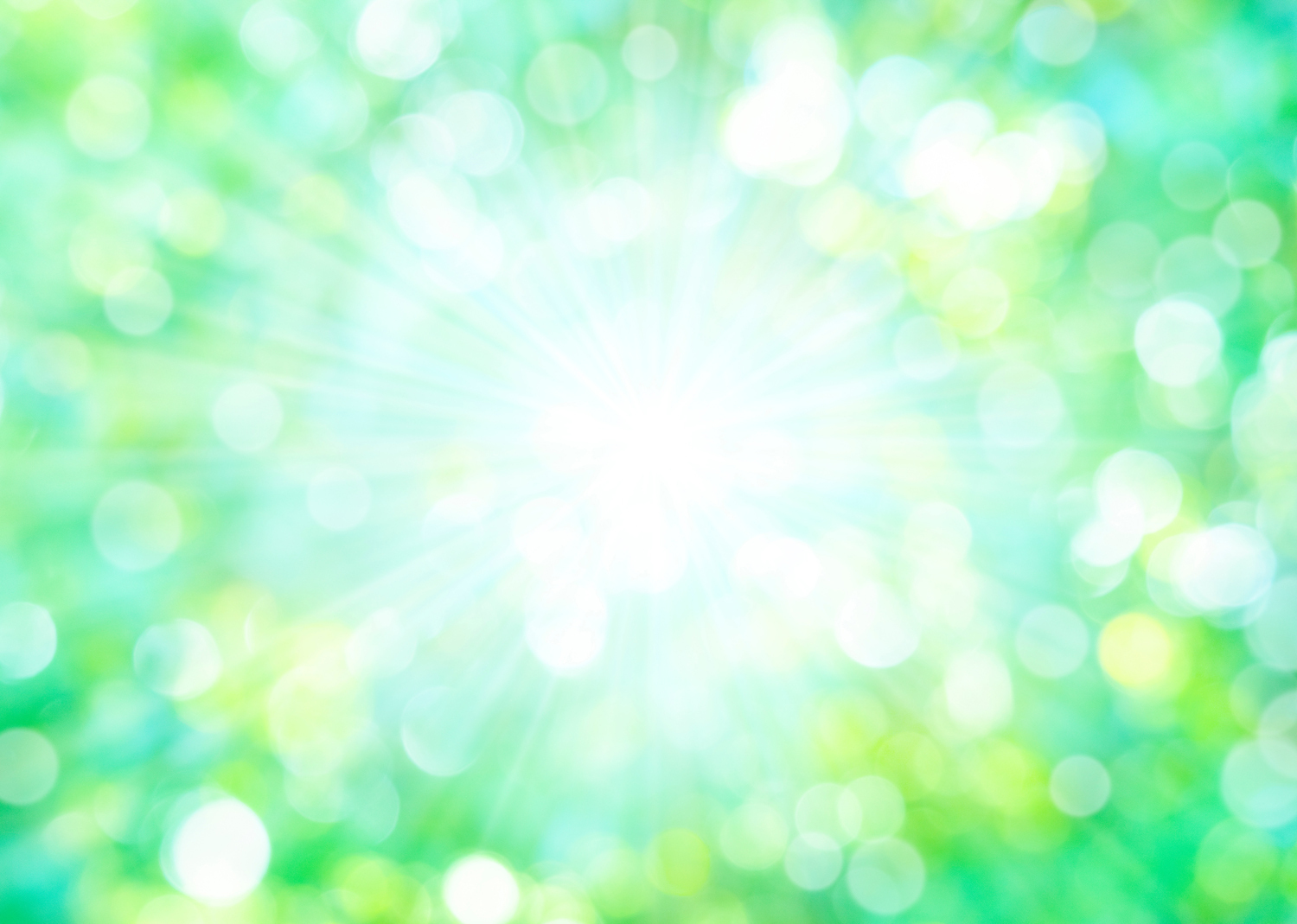 写真：環境イメージ