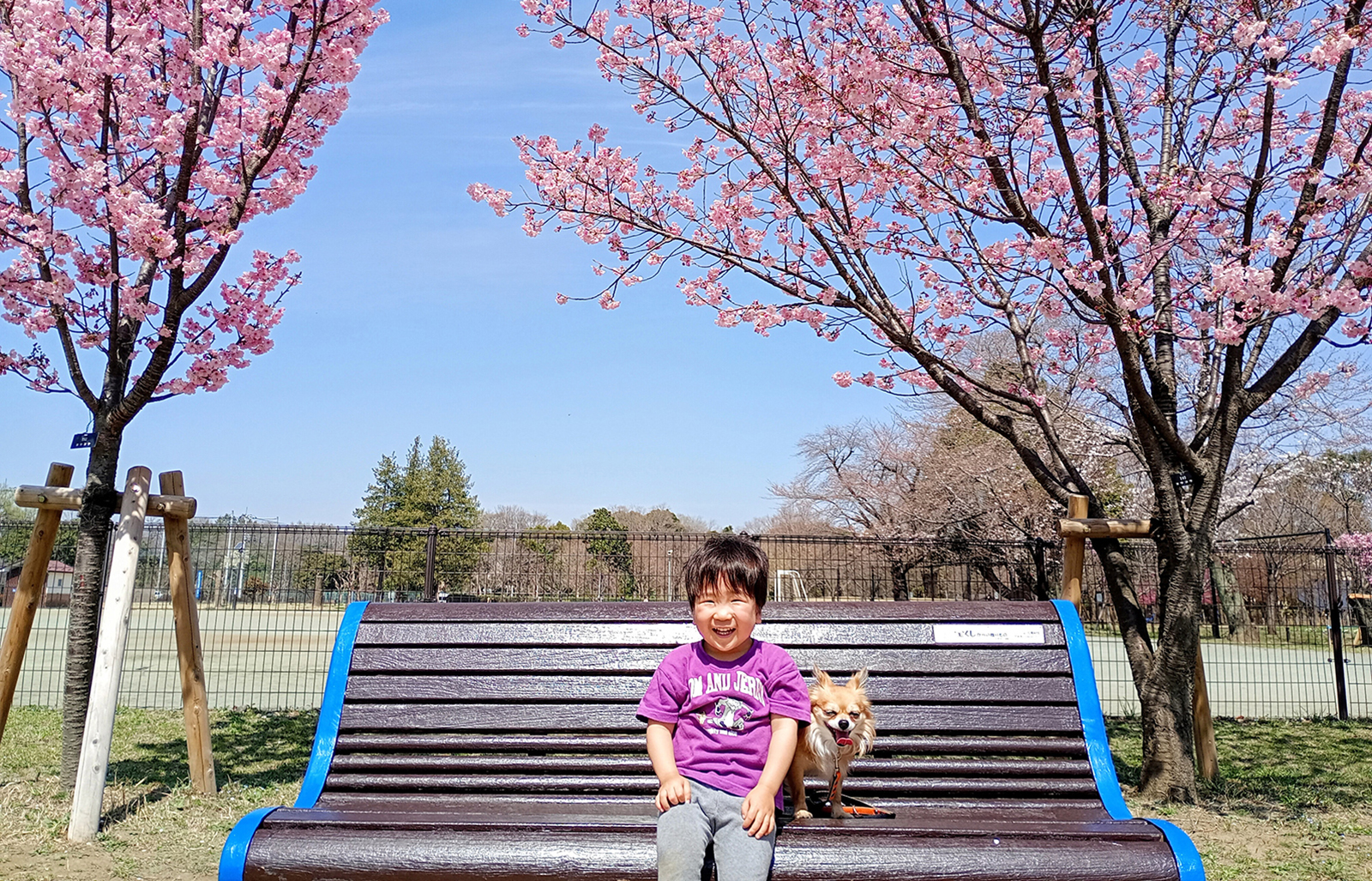 写真：公募写真 お子さんと愛犬