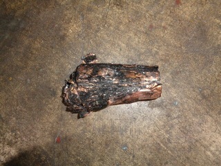 写真：燃えた二次電池