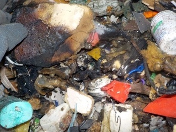 写真：廃棄物の焦げ跡