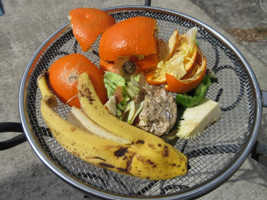 写真：生ごみ天日干し