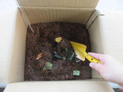 写真：コンポスト