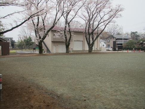 写真：エコ・パーク