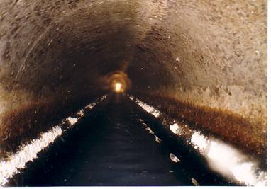 写真：清掃後の様子