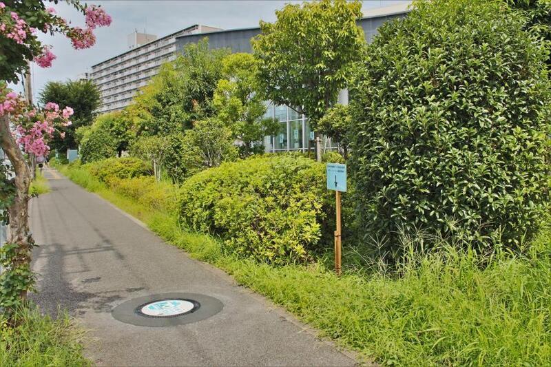 写真：デザインマンホール蓋2