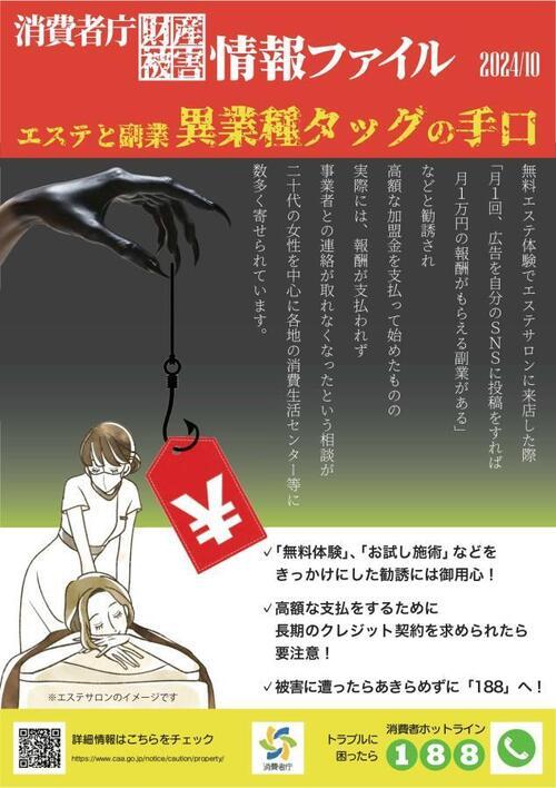 写真：消費者庁財産被害情報ファイル　エステと副業異業種タッグの手口