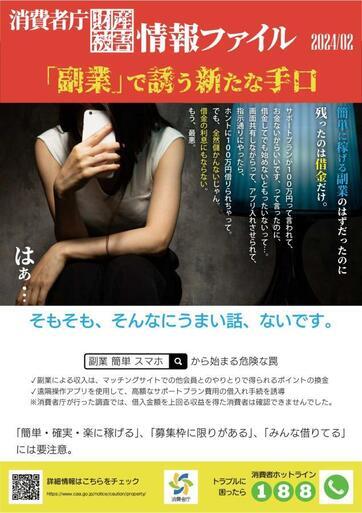 写真：消費者庁財産被害情報ファイル　「副業」で誘う新たな手口　チラシ