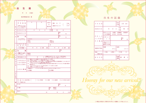 写真：オリジナル出生届複写