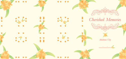 写真：専用ファイル（表）