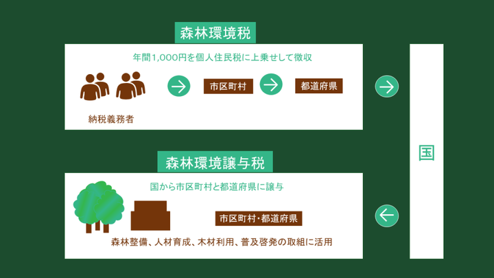 森林環境税の徴収から譲与と活用までの流れのイラスト