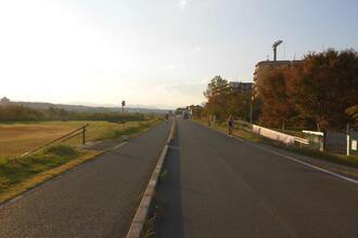 写真：遊歩道のようす