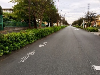 写真：ナビマーク　遠景
