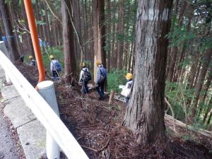 写真：令和7年森林教室　森へ