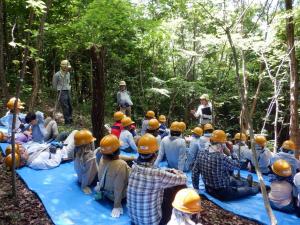 写真：7年森林教室　感想
