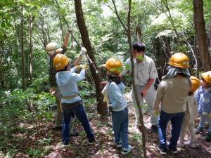 写真：7年森林教室　伐採風景（子ども）