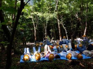 写真：寝ころんでいる様子2