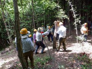 写真：7年森林教室　伐採風景（大人）