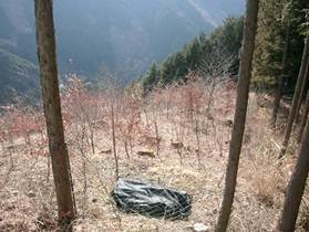 写真：市民の森1（平成24年3月30日）