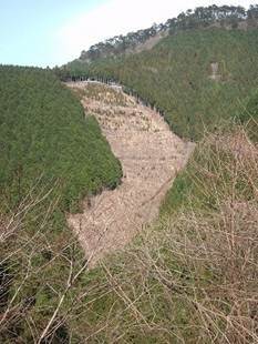 写真：市民の森3（平成24年3月30日）