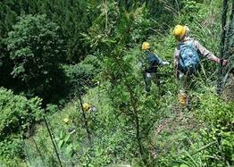 写真：市民の森2（平成24年6月14日午前）