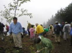写真：みんなで植樹