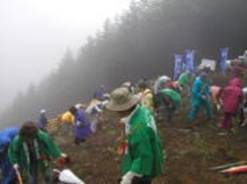 写真：元気に育って