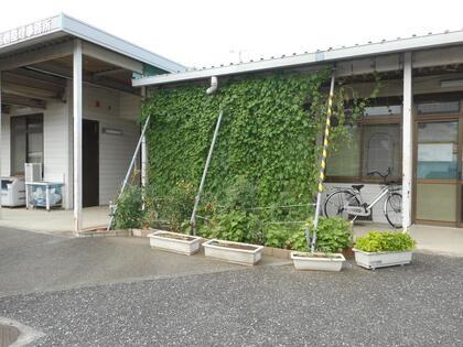 写真：区画整理事務所のグリーンカーテン