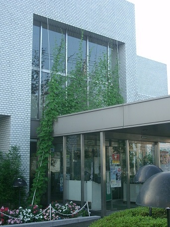 写真：勤労商工市民センターのグリーンカーテン