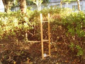 写真：測定の様子2