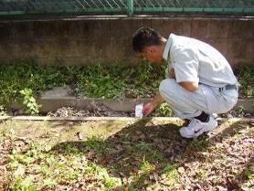 写真：測定の様子3