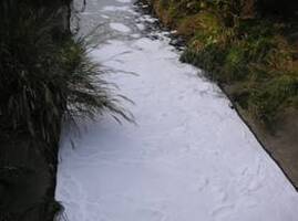 写真：水質事故2