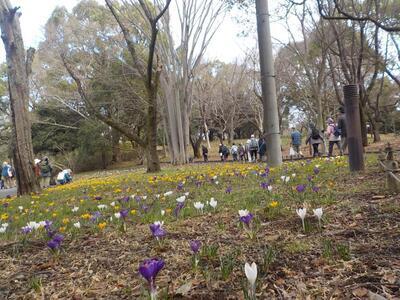 写真：第3回環境学習講座2