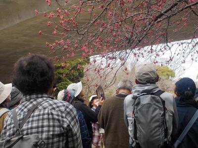 写真：第3回環境学習講座4