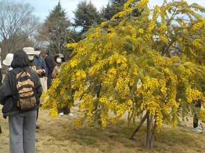 写真：第3回環境学習講座5