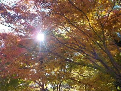 写真：第2回環境学習講座8