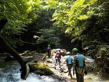 写真：令和6年源流体験3