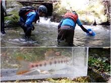 写真：令和6年源流体験6