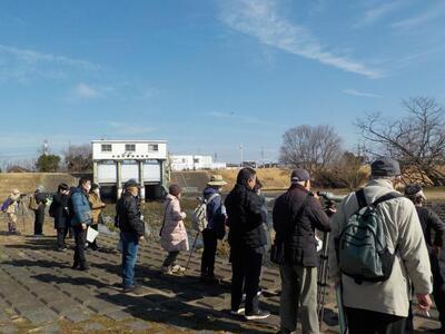 写真：カモを観察している様子