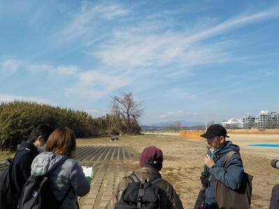 写真：モズ観察の様子