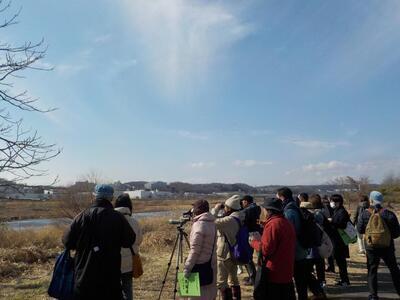 写真：シラサギやハヤブサ観察の様子