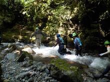 写真：令和5年源流体験3