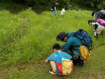 写真：昆虫採集
