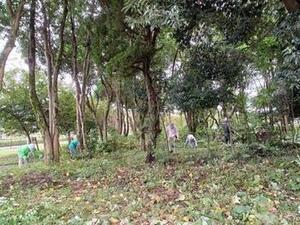 写真：令和6年せん定1