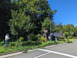 写真：令和5年度せん定2