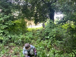 写真：環境活動リーダー　活動1