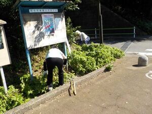 写真：環境活動リーダー　活動2