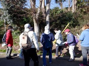 写真：第1回リーダー養成講座　フィールドワーク