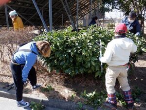 写真：第2回リーダー養成講座　せん定