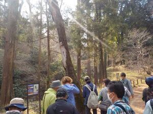 写真：第3回リーダー養成講座　野外観察