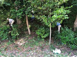 写真：崖線管理の様子1